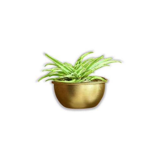 Simple Bowl Metal Planter/Pot in Gold Finish or White