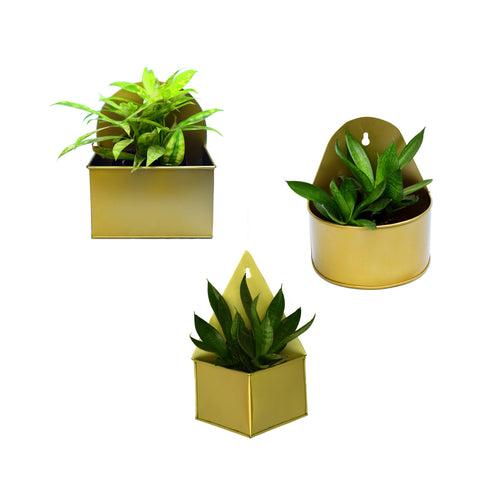 Geometric Hanging Metal Mounted Wall Planter / Letter Box in Matte Gold Finish - 3 Shapes