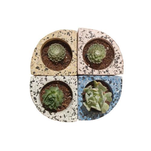 Quarter Concrete Table Top Pot / Planters with Terrazzo Print in 4 Colours
