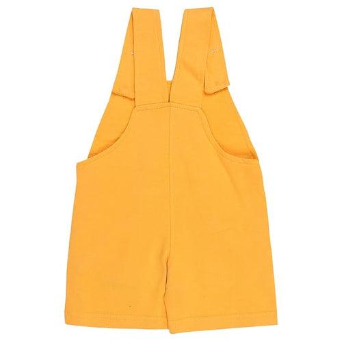 Boys T-shirt and Dungaree