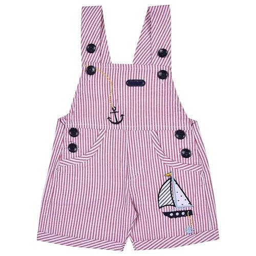 Baby Boys T-shirt and Dungaree