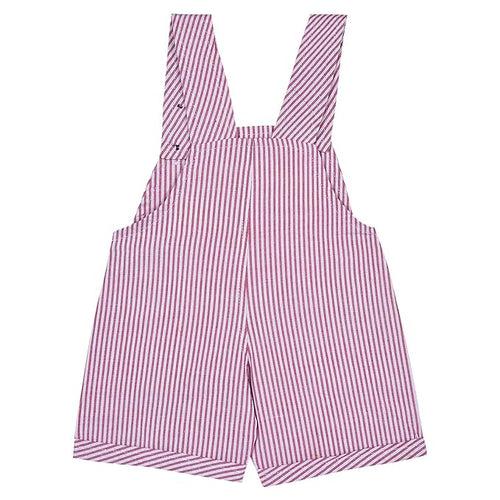 Baby Boys T-shirt and Dungaree