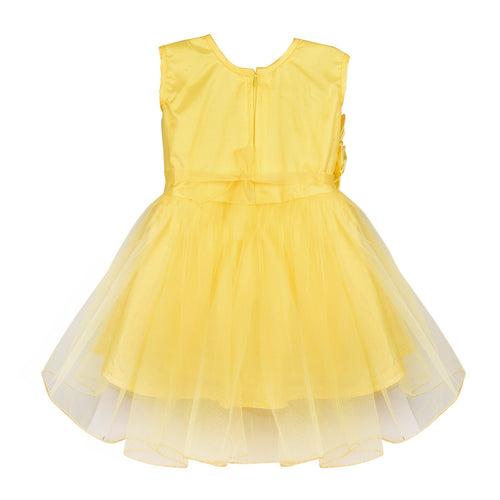 Baby Girls Party Wear  Dress Fe 2161y