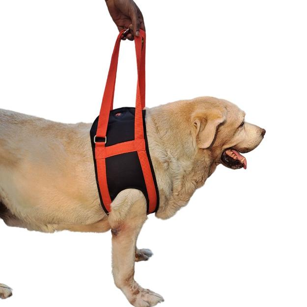 Dog Sling For Front Legs, Front Lifting Support Harness For Dogs