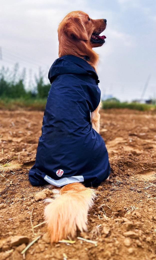 Dog Raincoat - Solid Navy Blue