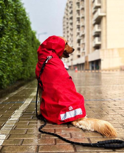 Dog Raincoat - Solid Red