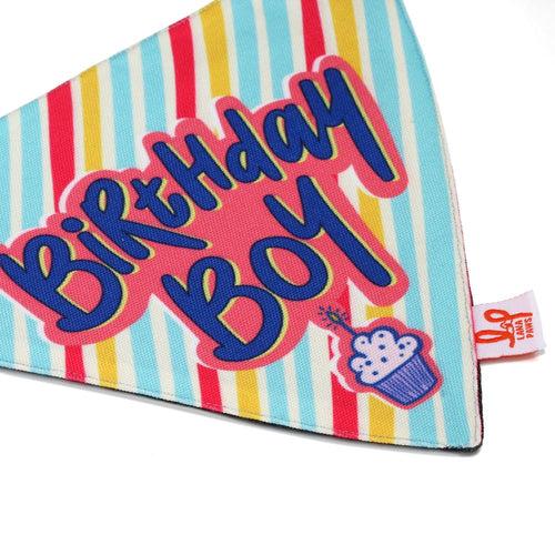 Adjustable Dog Bandana/ Dog Scarf - Birthday Boy