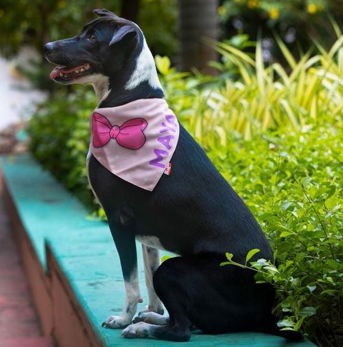 Custom / Personalised Printed Dog Bow Name Bandana - Adjustable