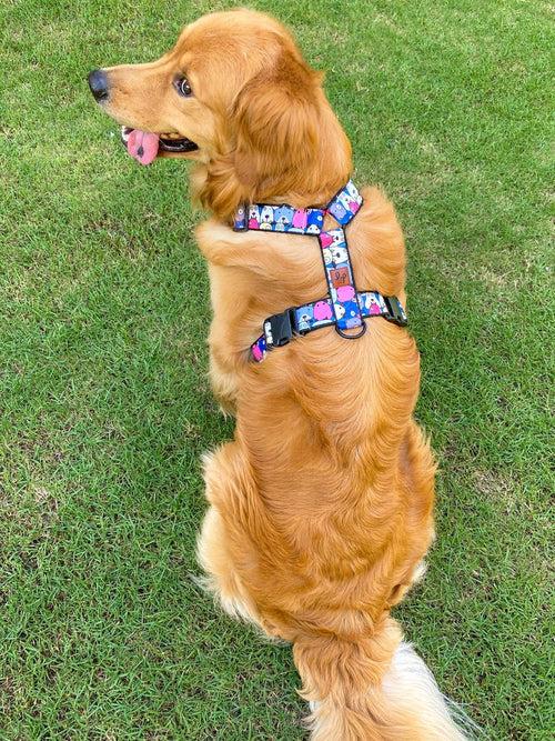 Dog H Harness/ Halter Dog Harness - Googly Eyes Blue