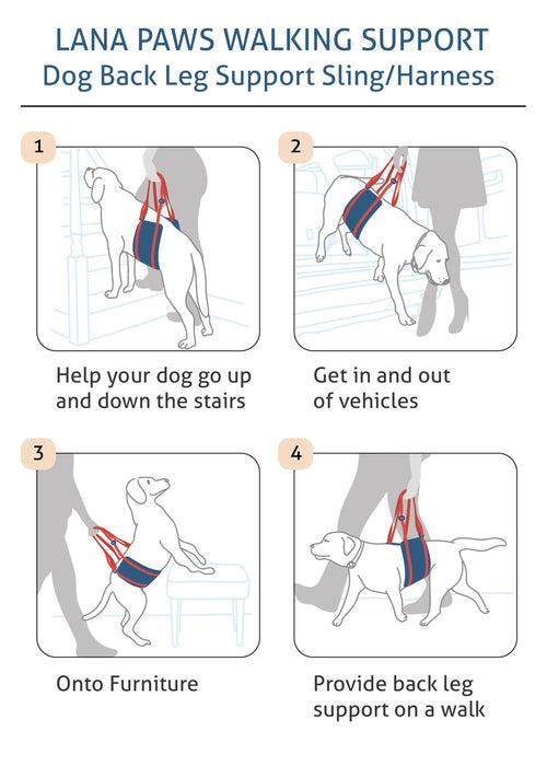 Dog Sling For Back or Hind Leg Lifting Support, Hip Support For Dogs