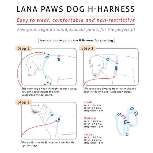 Dog H Harness/ Halter Dog Harness - Googly Eyes Blue