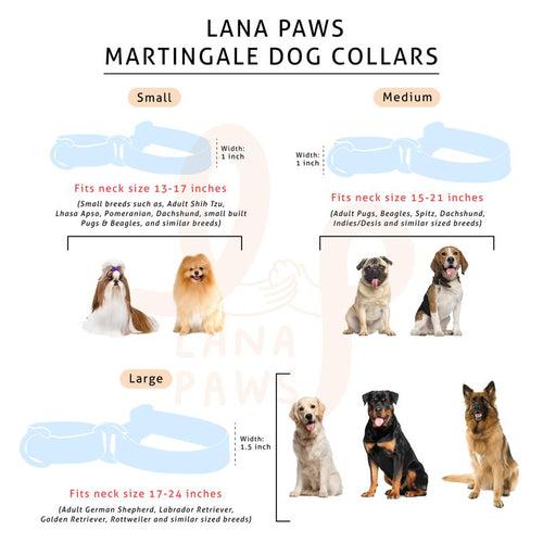 Martingale Dog Collar (Multi-Coloured) - Googly Eyes Blue