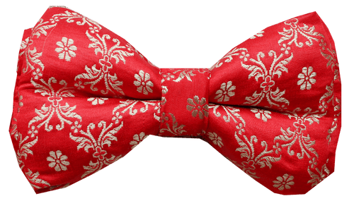 Dog Bow tie (Adjustable) - Noor Festive Collection (Red)