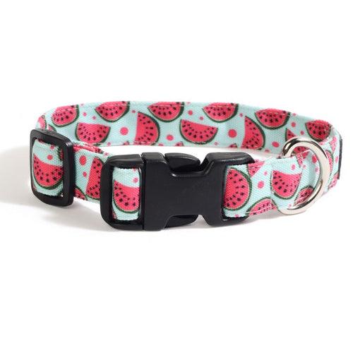 Dog Collar Neck Belt - Fruity Watermelon