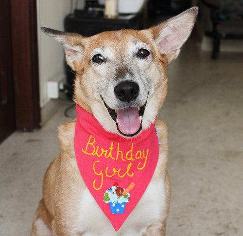 Birthday Girl! - Handmade Adjustable Dog Bandana