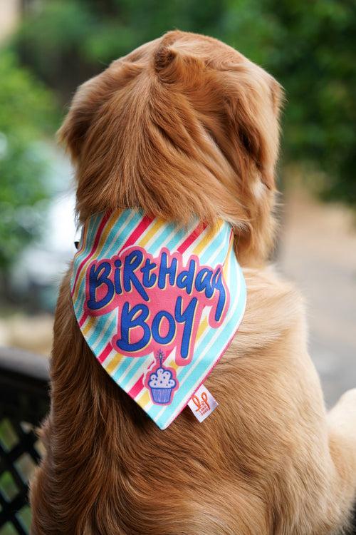 Adjustable Dog Bandana/ Dog Scarf - Birthday Boy