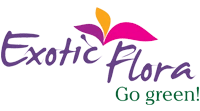 Exoticflora
