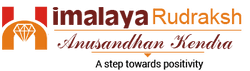 Himalaya Rudraksha