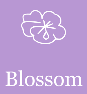 Blossomclothingcornwall