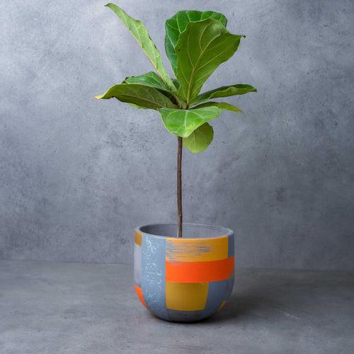 Concrete Ovaty Planter - The Suryaasta Collection-Mid Size Planters