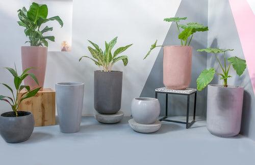Shades of Grey Concrete Planters- Set of Seven
