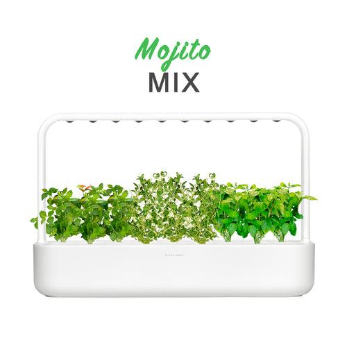 Smart Garden 9 with Mojito Mix