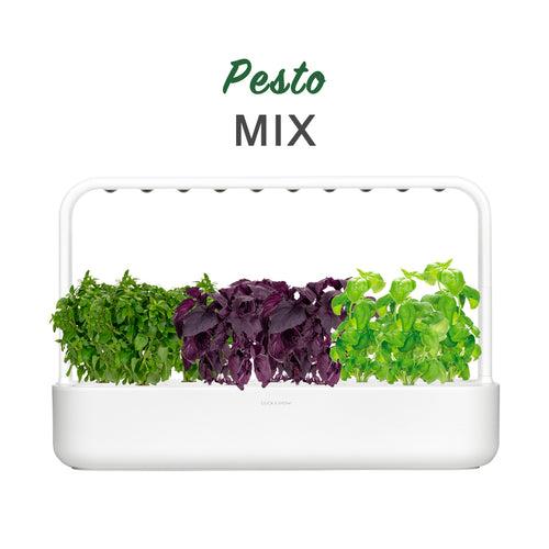 Smart Garden 9 - Pesto Mix