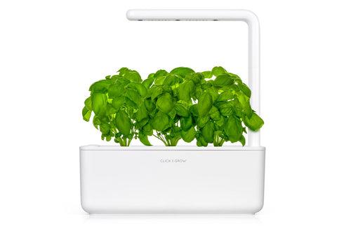 Smart Garden 3 with Basil 3-Pack