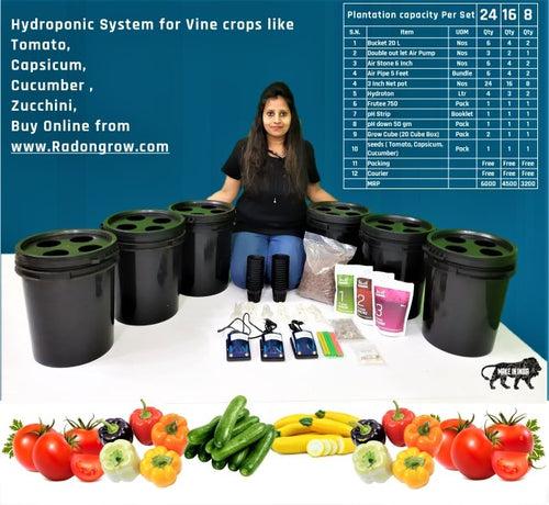 DWC Bucket System for Vine Crops