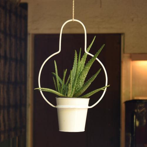 Bulb Shaped Metal Hanging Planter in White