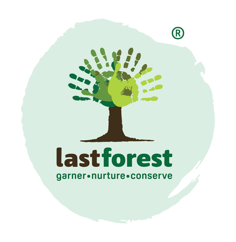 Lastforest